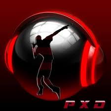 Logo de Pasión por el Dance